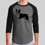 Colorblock Raglan Jersey Thumbnail