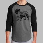 Colorblock Raglan Jersey Thumbnail