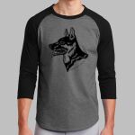 Colorblock Raglan Jersey Thumbnail
