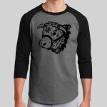 Colorblock Raglan Jersey Thumbnail