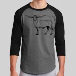 Colorblock Raglan Jersey Thumbnail