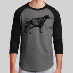 Colorblock Raglan Jersey Thumbnail