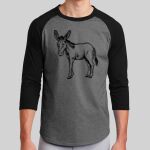 Colorblock Raglan Jersey Thumbnail