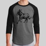 Colorblock Raglan Jersey Thumbnail