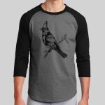 Colorblock Raglan Jersey Thumbnail