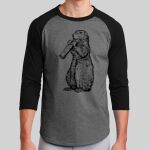 Colorblock Raglan Jersey Thumbnail