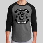 Colorblock Raglan Jersey Thumbnail