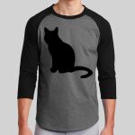 Colorblock Raglan Jersey Thumbnail