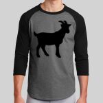 Colorblock Raglan Jersey Thumbnail