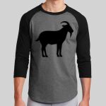 Colorblock Raglan Jersey Thumbnail