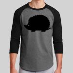 Colorblock Raglan Jersey Thumbnail