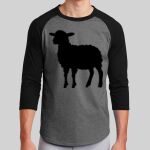 Colorblock Raglan Jersey Thumbnail