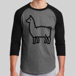 Colorblock Raglan Jersey Thumbnail