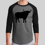 Colorblock Raglan Jersey Thumbnail