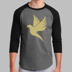 Colorblock Raglan Jersey Thumbnail