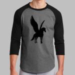 Colorblock Raglan Jersey Thumbnail