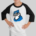 Youth Colorblock Raglan Jersey Thumbnail
