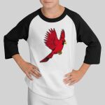 Youth Colorblock Raglan Jersey Thumbnail