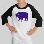 Youth Colorblock Raglan Jersey Thumbnail