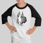 Youth Colorblock Raglan Jersey Thumbnail