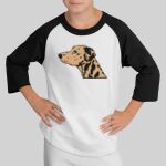 Youth Colorblock Raglan Jersey Thumbnail