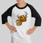 Youth Colorblock Raglan Jersey Thumbnail