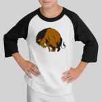 Youth Colorblock Raglan Jersey Thumbnail