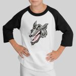 Youth Colorblock Raglan Jersey Thumbnail