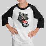 Youth Colorblock Raglan Jersey Thumbnail