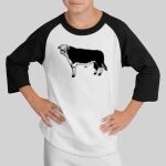 Youth Colorblock Raglan Jersey Thumbnail