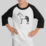 Youth Colorblock Raglan Jersey Thumbnail