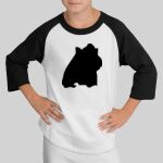 Youth Colorblock Raglan Jersey Thumbnail