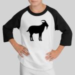 Youth Colorblock Raglan Jersey Thumbnail