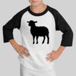 Youth Colorblock Raglan Jersey Thumbnail