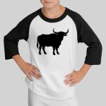 Youth Colorblock Raglan Jersey Thumbnail