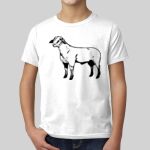 Youth CVC Crew Thumbnail