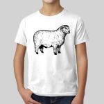 Youth CVC Crew Thumbnail