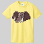 Best Selling Youth Cotton Tee Thumbnail