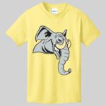 Best Selling Youth Cotton Tee Thumbnail
