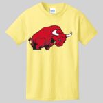 Best Selling Youth Cotton Tee Thumbnail