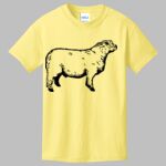Best Selling Youth Cotton Tee Thumbnail